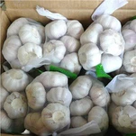 Organik Dondurulmuş Beyaz Sarımsak Doğrudan Satış