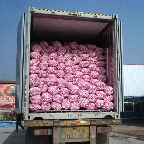 Frozen New Crop Normal White Garlic Export Frozen New Crop Normal White Garlic Export
